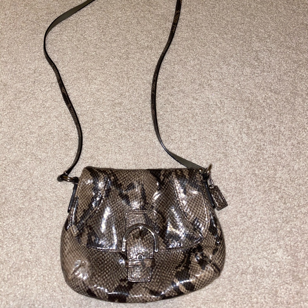 Coach Crossbody Python Bag